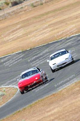 media/May-06-2023-Lucky Dog Racing (Sat) [[8f2256f436]]/Turn 2 10a/